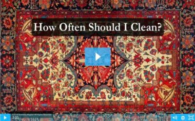 How Often Should I Clean?