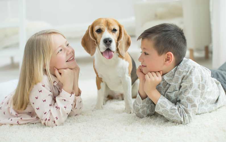 Child and Pet Safe Products