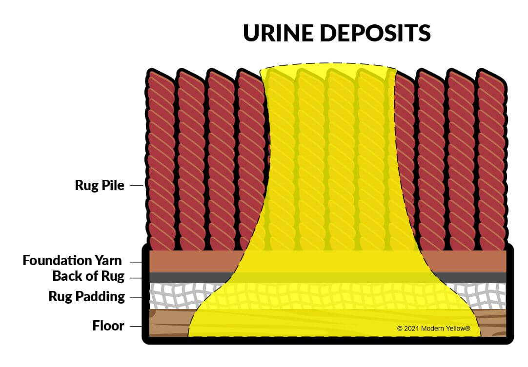 Pet Urine Layers